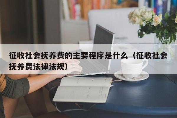 征收社会抚养费的主要程序是什么（征收社会抚养费法律法规）