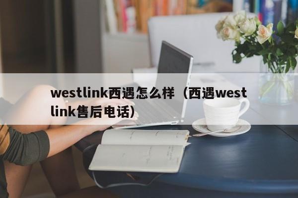 westlink西遇怎么样（西遇westlink售后电话）