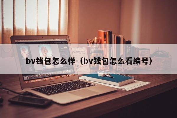 bv钱包怎么样（bv钱包怎么看编号）
